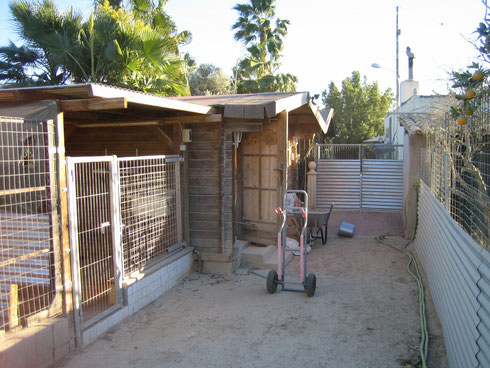 Quarantäne und Klein-Hunde-Bereich