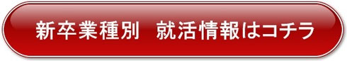 新卒職種別就職活動