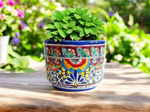 Mexikanische Übertöpfe mit bunten Designs!
