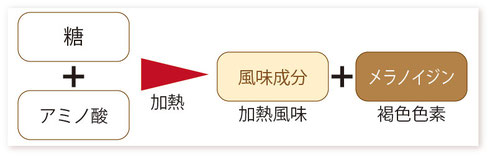 ホーム - AGE READER(測定器)/【日本正規総輸入代理店 ホーム - AGE READER(測定器)/【日本正規総輸入代理店