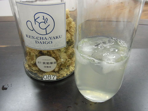 貢菊花茶