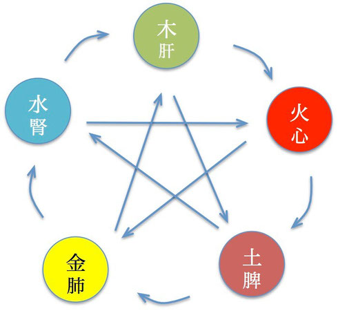 五行説と五臓