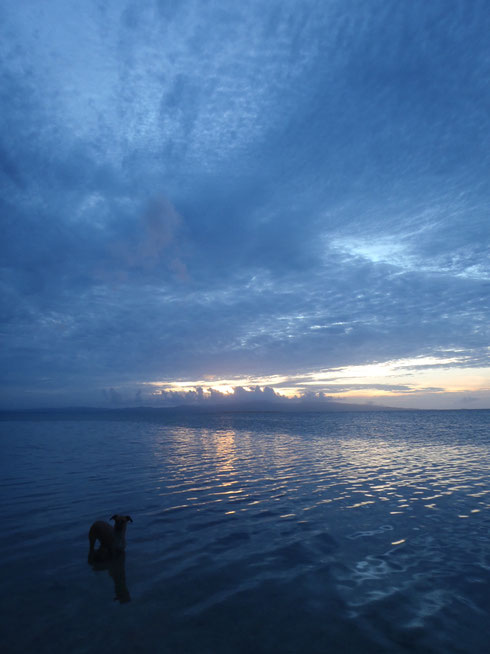 Caqalai, Fiji
