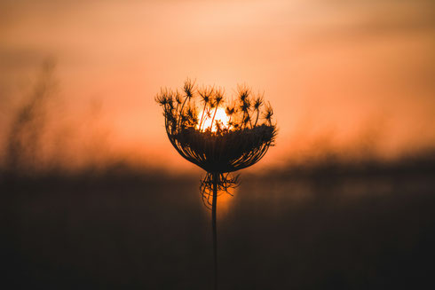 Entfalte die Kraft Deiner Hochsensibilität