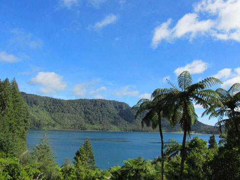 Blue Lake (Lake Tikitapu)