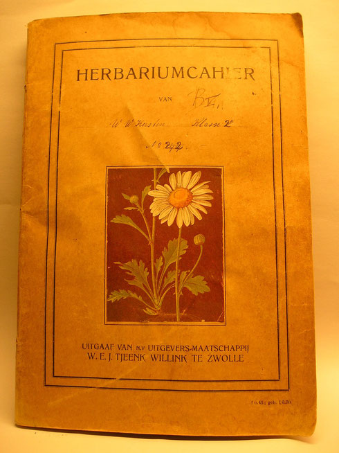 Herbariumcahier W.W. Kersten 