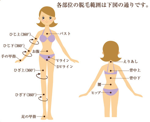 各部位の脱毛範囲図
