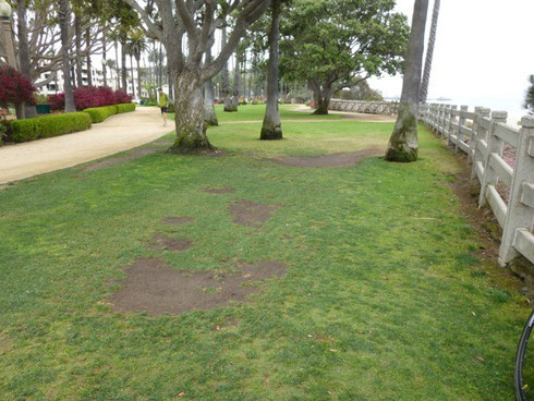 Eroded lawns