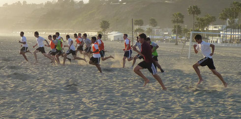 Sustainable runners below Palisades Park