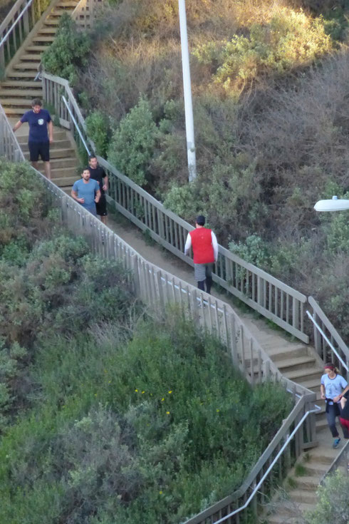 On Montana stairs sustainable athletes don't trample soils and lawns