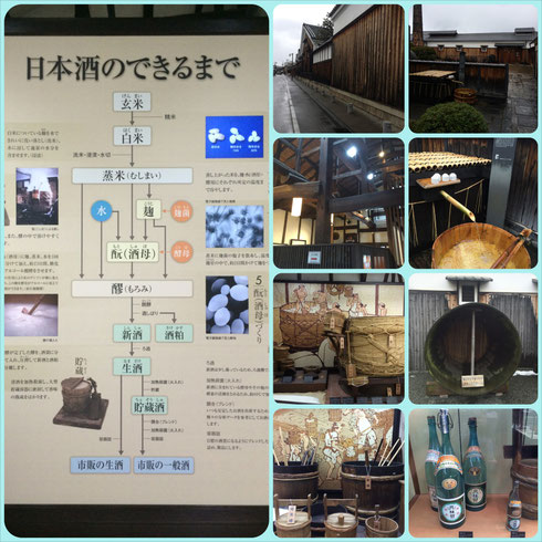 酒蔵訪問