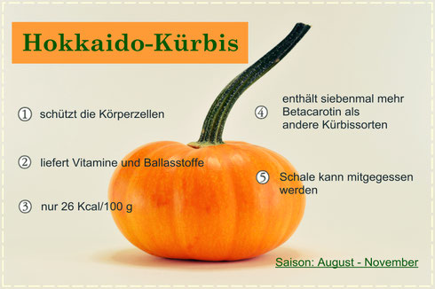 Kürbis, Hokkaidokürbis