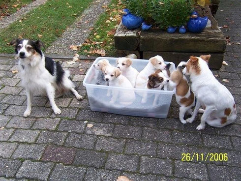 Papa Benito hat uns besucht!