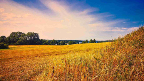 Adieu Sommer