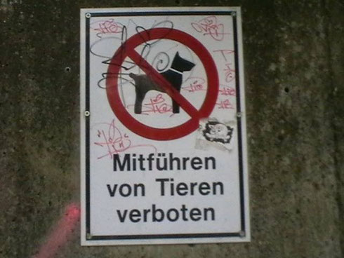 A-Vor Bornschlegel
