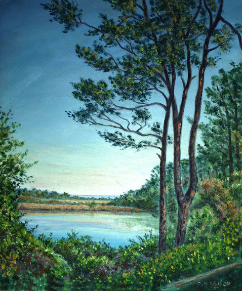 Lake view - David Barison