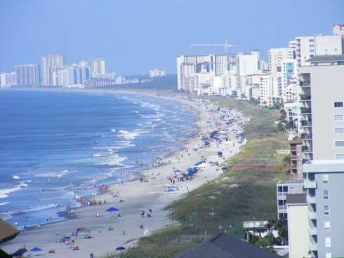 Summer : Looking south towards the Centre ( green patch )