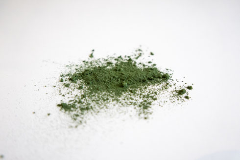 Jetzt Marine Phytoplankton Pulver kaufen – perfekt zum Einrühren in Säfte oder Smoothies. Erhältlich als Monatspackung (60 g) oder als 3-Monatspackung (200 g) zum attraktiven Sparpreis.
