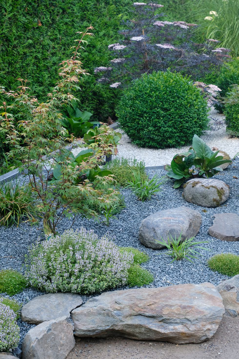 dieartigeGARTEN //  Japanischer Bauerngarten - der Beginn mit Jap. Ahorn, Japangras + Bergenie, Natursteinkante