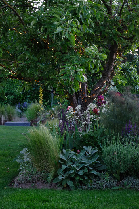 dieartigeGARTEN // June Garden - Mystic Beet with lights in the evening, Iris, Wollziest, Spornblume