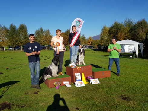 Siegerpodest ÖGV Sieger 2017 Rally Obedience