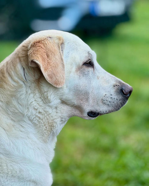 Charming Power Anouk 🧡