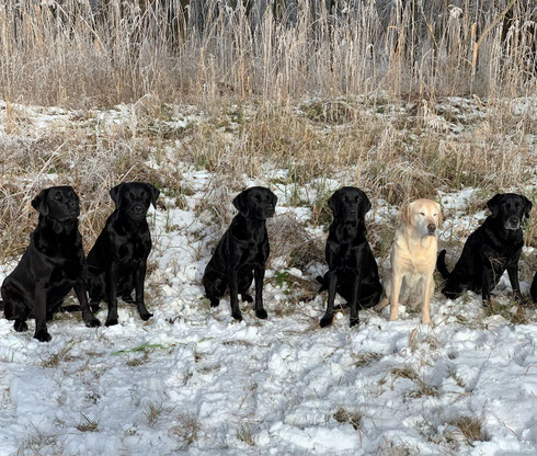 Delta und Pino sind mit von der Schneepartie