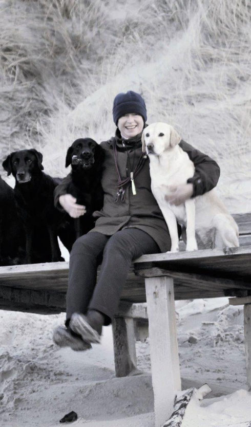 Hunde vlnr: Isabella, Callie, Brandy (gelb)🖤