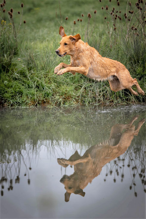 Foto Jana Starke