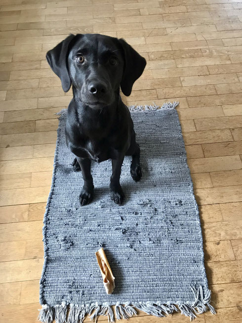 Hilja 5 Monate alt - Da guckt die Mama, genauso aufmerksam🧡