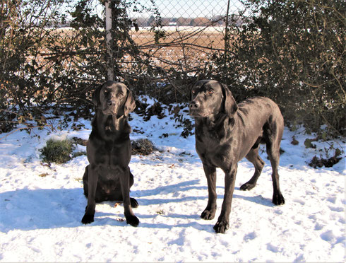 Hochzeit von Bee Gee & Ghost