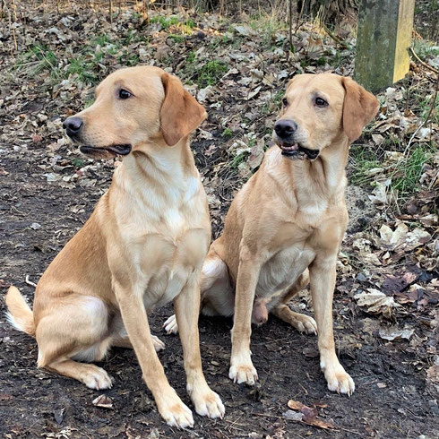 who is who ? Da muss man schon genau hingucken. Links Camu - rechts Papa Denzel