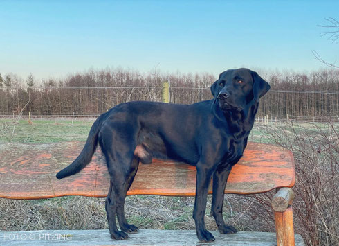 Keylam mit knapp 2 Jahren