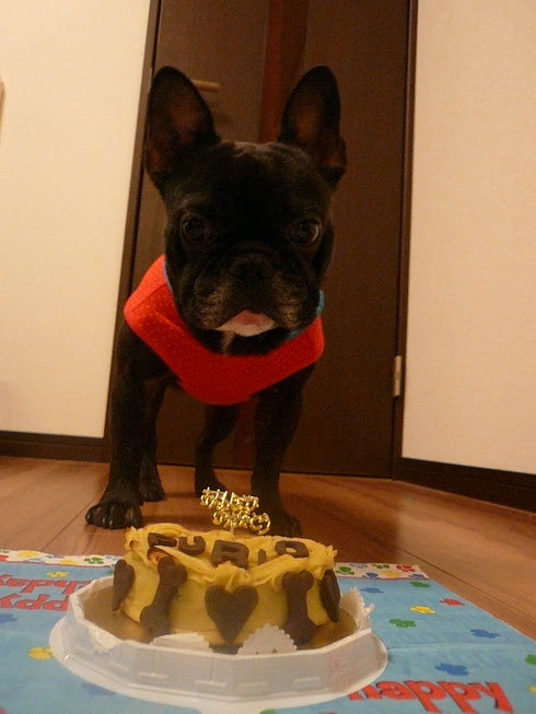 おお~今年も美味しそうだなあ(*‘∀‘)