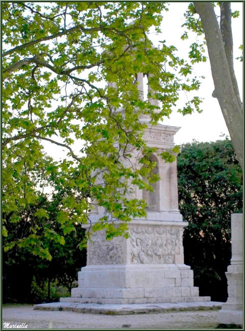 Le Mausolée des Jules aux Antiques, en fin d'après-midi, derrière la verdure, à Saint Rémy de Provence, Alpilles (13)