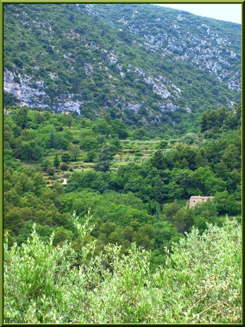 Vue sur la campagne environnante depuis les hauteurs du village d'Oppède-le-Vieux, Lubéron (84)