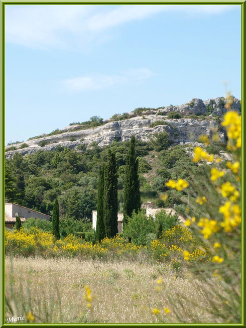 La campagne autour du village d'Eygalières dans les Alpilles (Bouches du Rhône)