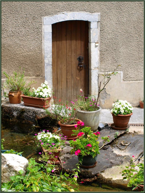 Pas de porte fleuri à la Pisciculture des Sources à Laruns, Vallée d'Ossau (64)