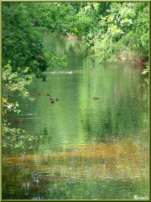 Le Canal des Landes et ses reflets au Parc de la Chêneraie à Gujan-Mestras (Bassin d'Arcachon) - reflets d'été