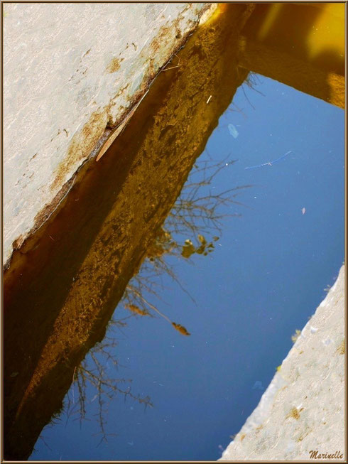 Reflets en contrebas d'une écluse en bordure d'un réservoir, Sentier du Littoral, secteur Domaine de Certes et Graveyron, Bassin d'Arcachon (33) 