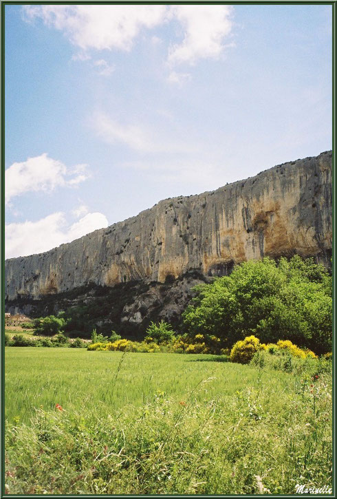 La Falaise de la Madeleine surpomblant le village du Lioux, Lubéron (84)