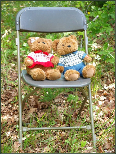 Melle et Mr Nounours sur une chaise à la Fête de la Nature 2013 au Parc de la Chêneraie à Gujan-Mestras (Bassin d'Arcachon) 