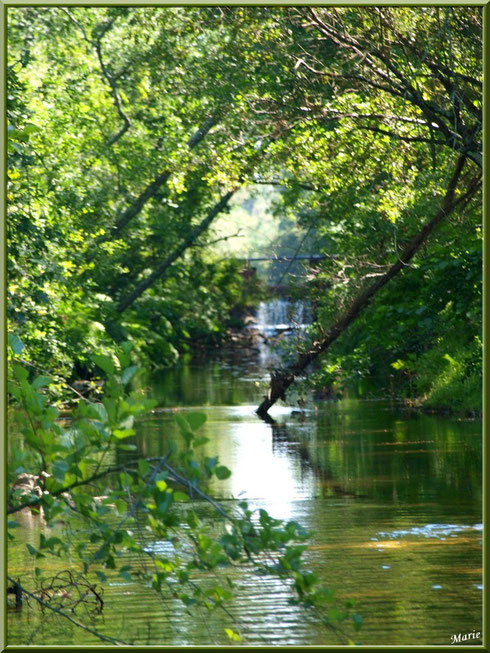 Une des écluses et sa cascade sur le Canal des Landes au Parc de la Chêneraie à Gujan-Mestras (Bassin d'Arcachon) cachée par la végétation