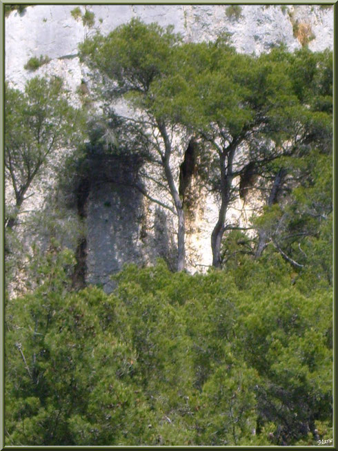 Les Alpilles au-dessus du lac de Peiroou à Saint Rémy de Provence, Alpilles (13) : des trous dans la falaise