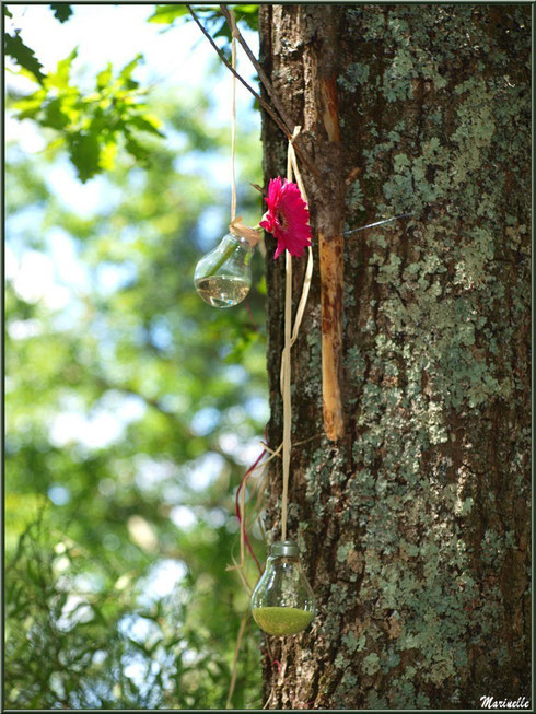 Suspension décorative dans un arbre à la Fête de la Nature 2013 au Parc de la Chêneraie à Gujan-Mestras (Bassin d'Arcachon) 