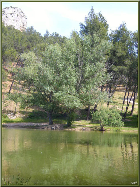 Le lac de Peiroou et ses reflets à Saint Rémy de Provence, Alpilles (13)