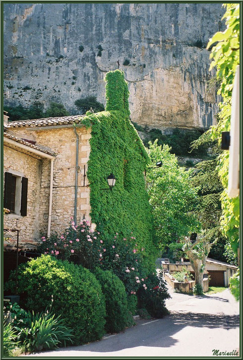 Ruelle avec l'église romane Saint Romain à la façade verdoyante, village du Lioux, Lubéron (84)
