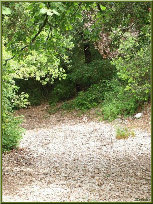 Chemin pierreux et sinueux montant vers la source miraculeuse de l'Ermitage Saint Gens, village de Le Beaucet, Lubéron (84)