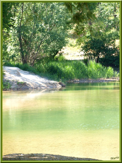 Verdoyance et reflets au lac de Peiroou à Saint Rémy de Provence, Alpilles (13)