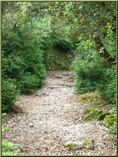 Chemin pierreux et sinueux montant vers la source miraculeuse de l'Ermitage Saint Gens, village de Le Beaucet, Lubéron (84)